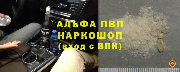 гидра Алзамай