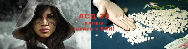 гидра Алзамай