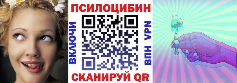 Псилоцибиновые грибы Psilocybine cubensis Пущино