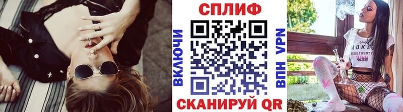 Конопля SATIVA & INDICA сколько стоит OMG зеркало Пущино